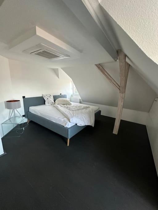 Panorama Penthouse In Wunderschoener Villa Касел Екстериор снимка